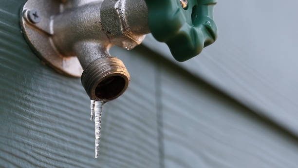 Best Plumbing Inspection Services  in Cutten, CA